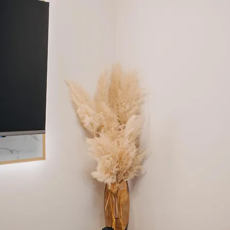 Apartment Masi